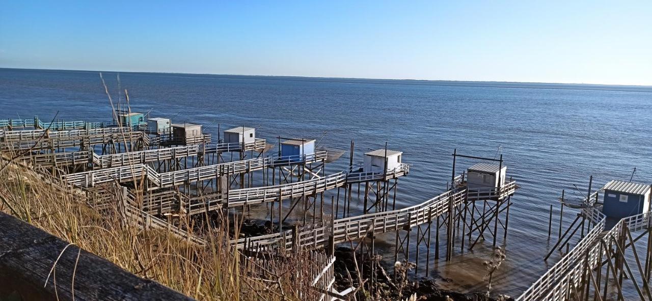 Charmant T2 Proche Plage Avec Terrasse Privative Royan Exteriör bild